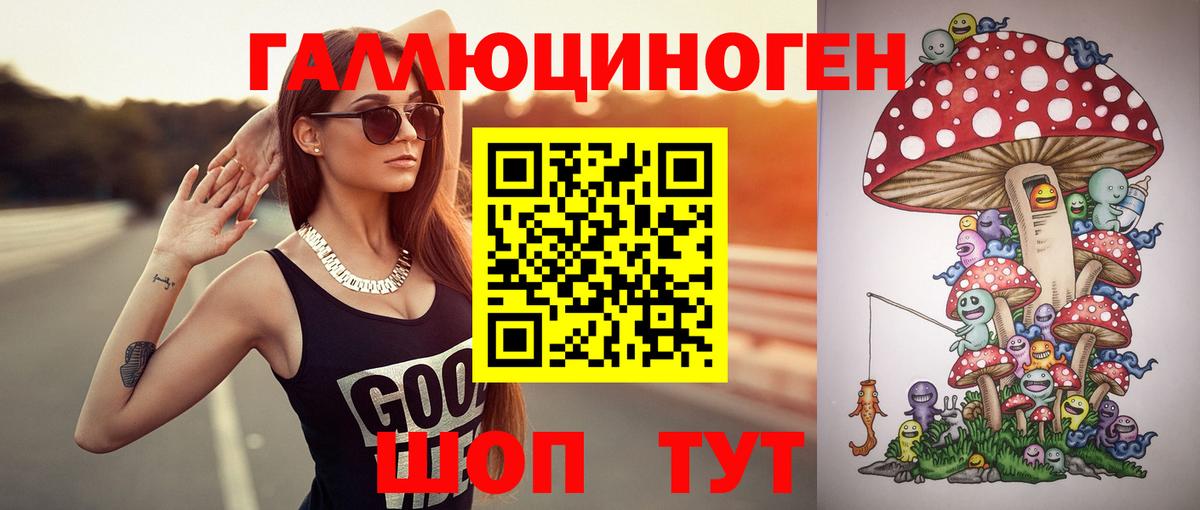 Малгобек  Псилоцибиновые грибы мицелий  где можно купить   Вход с VPN 